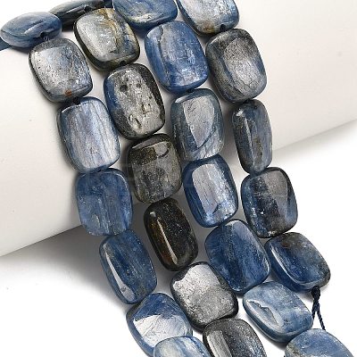 Natural Kyanite Beads Strands G-H335-I01-12x16mm-1