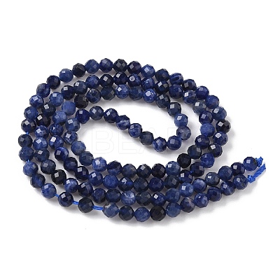 Natural Sodalite Beads Strands X-G-L622-C04-3mm-1