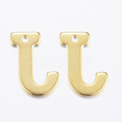 304 Stainless Steel Charms LS-X-STAS-P141-J-1