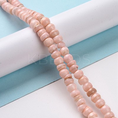 Natural Cultured Freshwater Shell Beads Strands SHEL-F002-01-1