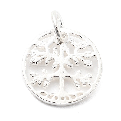 925 Sterling Silver Charms STER-S009-01C-S-1