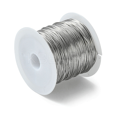 Non-Tarnish 316 Surgical Stainless Steel Wire TWIR-L004-01A-P-1