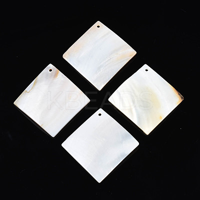 Natural Freshwater Shell Big Pendants SHEL-N026-177-1