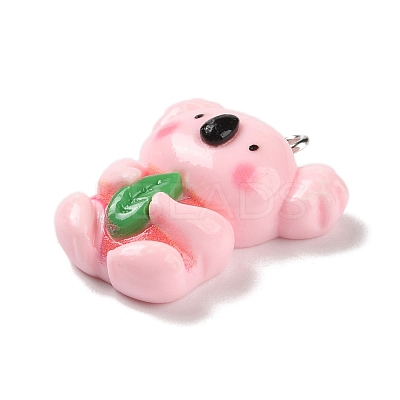 Cute Animal Opaque Resin Pendants LS-FIND-B035-01-1