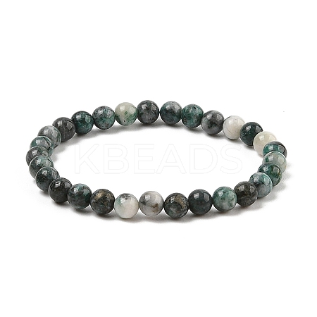 Natural Dioptase Round Beaded Stretch Bracelets BJEW-JB11195-02-1