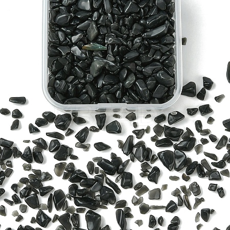 50G Natural Black Tourmaline Chip Beads G-YW0001-67-1