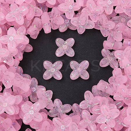 Frosted Transparent Acrylic Beads X1-OACR-P029-09B-01-1
