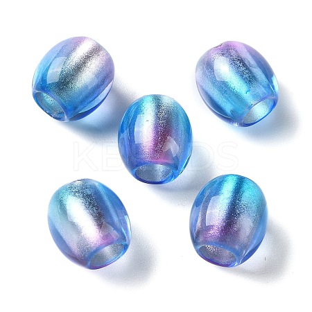 Painted Acrylic Beads OACR-Z010-03E-1