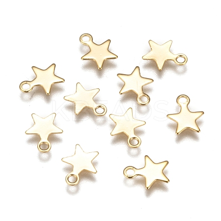 304 Stainless Steel Charms STAS-F159-43G-1