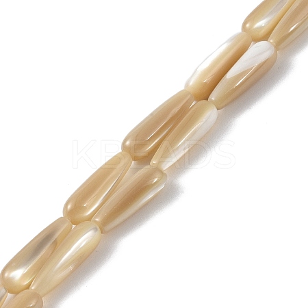 Natural Trochus Shell Beads PEAR-B002-01B-B-1