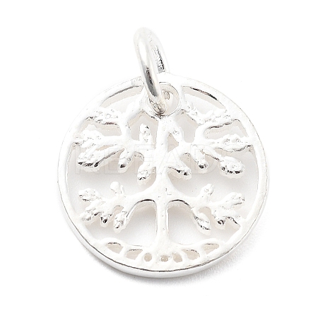 925 Sterling Silver Charms STER-S009-01C-S-1