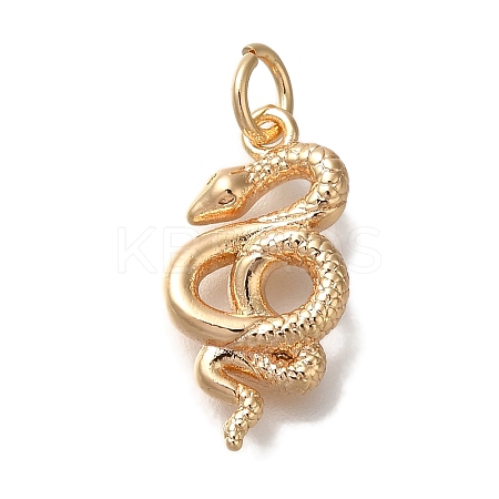 Brass Pendants LS-KK-U038-18G-1