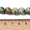 Natural Green Line Jasper  Beads Strands G-L639-A01-10mm-5