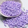 Macaron Color Opaque Frosted Glass Seed Beads SEED-K009-12B-14-1