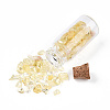 Glass Wishing Bottle Display Decorations AJEW-T013-02A-3