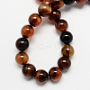 Natural Agate Bead Strands G-R173-10mm-05-2