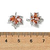 SHEGRACE Brass Cubic Zirconia Charms XGRQ3P644-614P-3