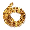 Natural Amber Beads Strands G-L095-L01-01-3