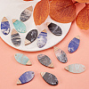 16Pcs 4 Colors Opaque Resin & Walnut Wood Pendants RESI-CJ0001-208-6