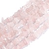 Natural Rose Quartz Beads Strands G-G011-14-1