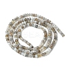 Natural Botswana Agate Beads Strands G-F748-D01-3
