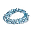 Transparent Electroplate Glass Beads Strands EGLA-F153-HR02-2