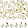 30Pcs Opaque Resin Imitation Pearl Charms FIND-YW0009-02-1