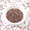MIYUKI Half TILA Beads X-SEED-J020-HTL257-2