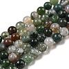 Natural Indian Agate Gemstone Bead Strands G-R201-4mm-1