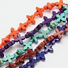Dyed Synthetical Turquoise Cross Bead Strand G-P083-86-1