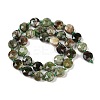 Natural Green Opal Beads Strands G-C116-A78-01-3