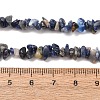 Natural Sodalite Chips Beads Strands F024-7