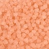 FGB Frosted Transparent Glass Seed Beads SEED-N013-03A-04-3