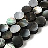 Natural Black Lip Shell Beads Strands BSHE-D300-05-10mm-1