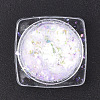 Holographic Chunky Glitter Nail Art Pigment Dust MRMJ-S015-009A-2