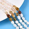 Natural Carnelian Nuggets & Natural Cultured Freshwater Pearl Beads Strands PEAR-N023-01A-03-1