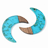 Transparent Resin & Walnut Wood Pendants RESI-S389-056B-B03-2