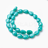 Opaque Solid Color Glass Beads Strands GLAA-E405-02B-B-2