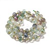 Natural Fluorite Beads Strands G-P508-A07-01-3