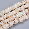 Natural Freshwater Shell Beads Strands SHEL-D078-01B-1