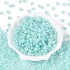 FGB Inside Colours Transparent Glass Seed Beads SEED-T009-01C-1