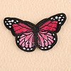 Computerized Embroidery Cloth Iron on/Sew on Patches X-DIY-F038-A01-1