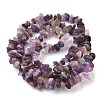 Natural Lepidolite/Purple Mica Stone Beads Strands G-Z081-A01-3