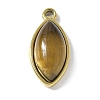 Natural Tiger Eye Pendants STAS-L277-09G-01-1