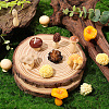 22Pcs 11 Styles Resin Vase Miniature Mushroom Ornaments RESI-CN0001-01-3