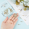 50Pcs Ion Plating(IP) 304 Stainless Steel Stud Earring Findings STAS-BBC0004-52-3