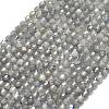 Natural Labradorite Beads Strands G-A260-A44-01A-2