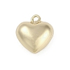 Brass Pendants KK-Z078-17G-1
