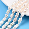 Natural Cultured Freshwater Pearl Beads Strands X-PEAR-N012-06R-1