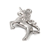 Non-Tarnish 304 Stainless Steel Pendants STAS-N103-12P-2